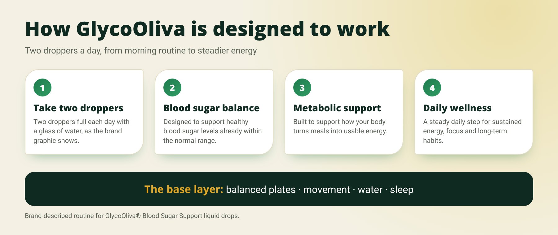 Infographic: take two droppers of GlycoOliva daily, then it is designed to support blood sugar balance, metabolic support and daily wellness